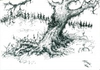 Christian Schranzhofer